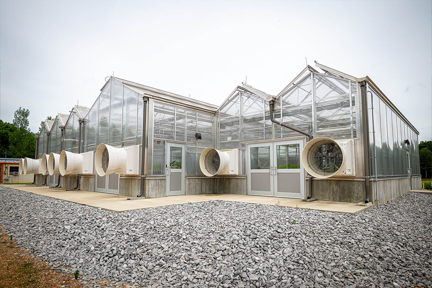 Image of the greenhouse bays