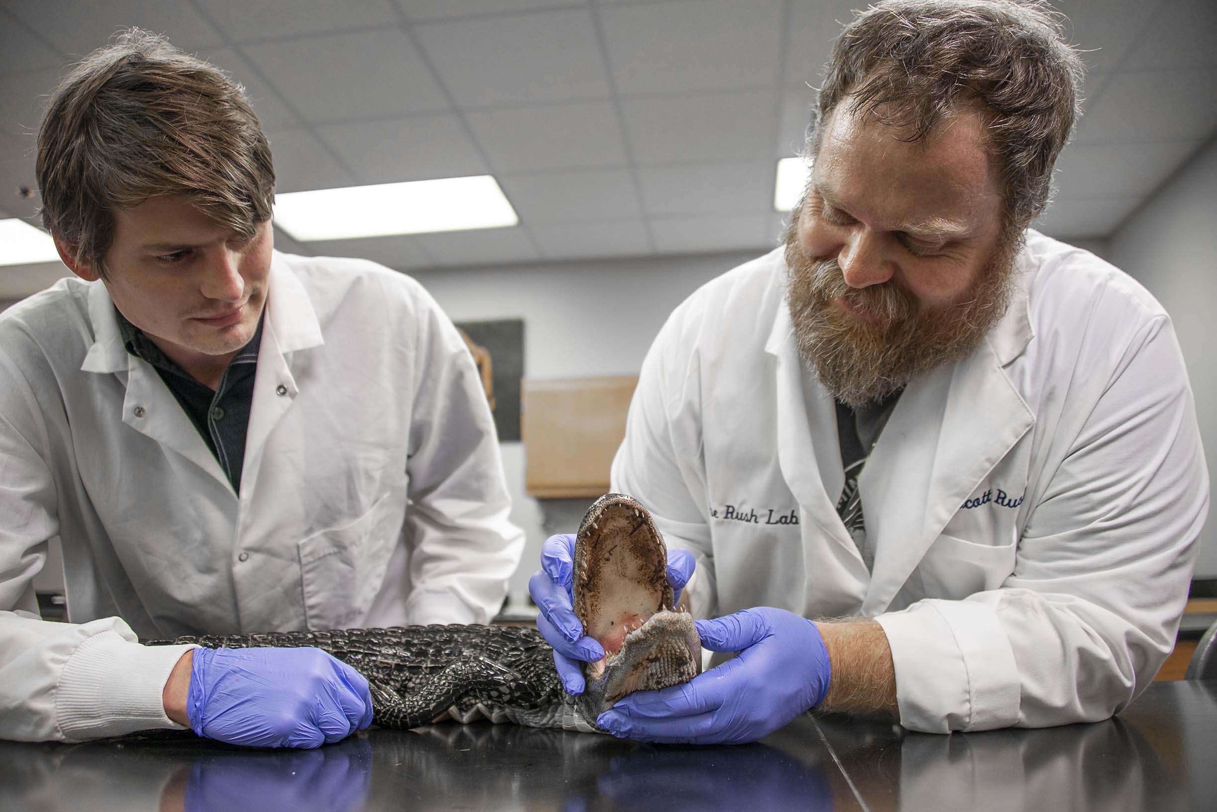 Wildlife, Fisheries & Aquaculture Major